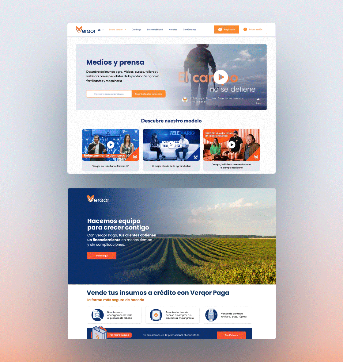 Verqor Capital sitio corporativo optimizado para SEO agrofintech